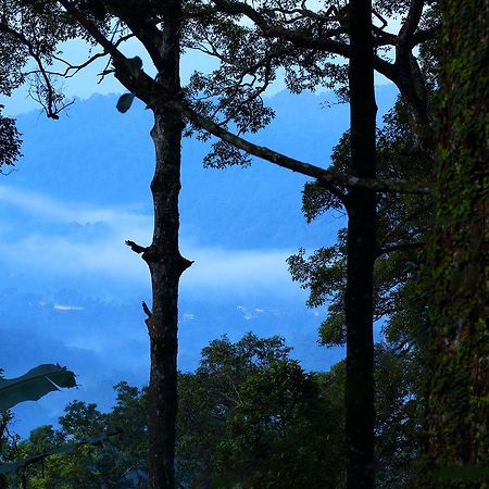 Madhumanthra Resort - Homestay Munnar Exterior foto